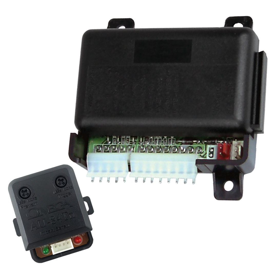 Omega OEM Keyless Entry - Alarm Upgrade